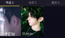 娱乐爆料抖音号大全,揭秘热门抖音号大全，带你领略网红风采