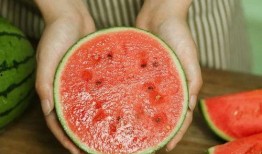 老王杯新瓜最新爆料,揭秘娱乐圈最新热点事件